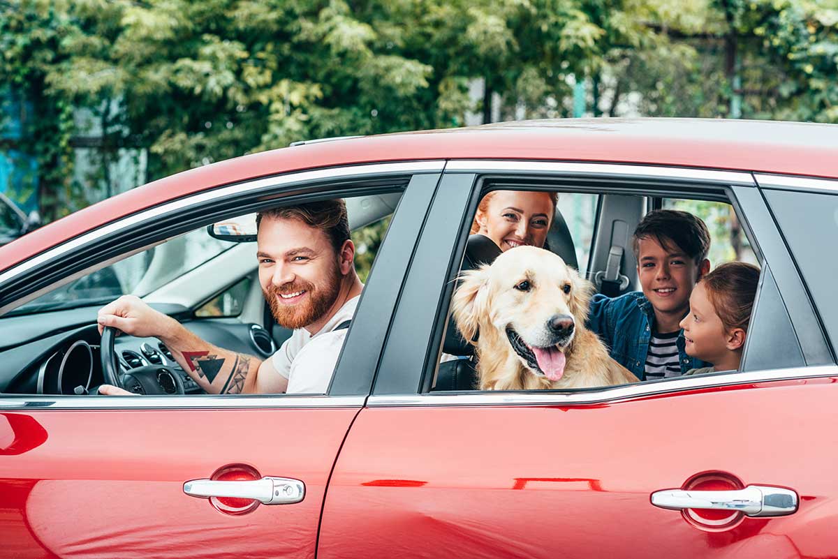 coches familias numerosas renting Los mejores coches familiares del 2021 para familias numerosas