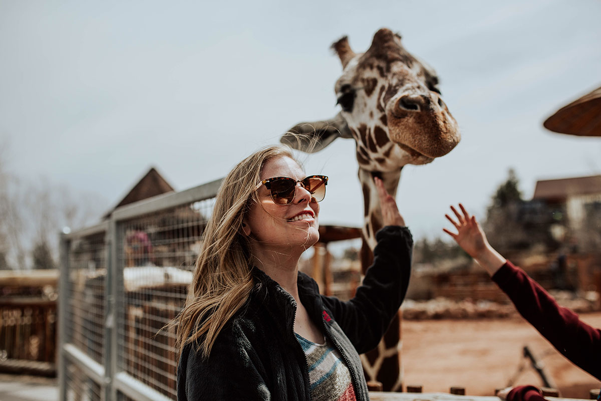 visita coche zoo espana ruta Recorre en coche los mejores zoológicos de España