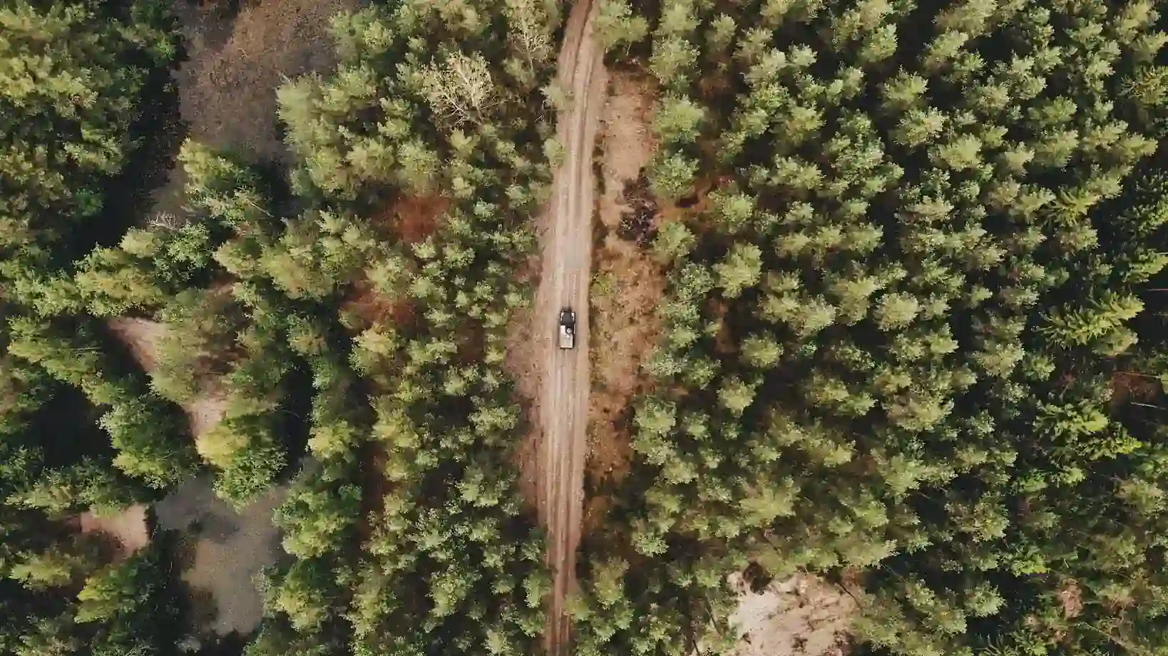 4x4 de renting ideales para guardabosques y brigadas forestales 4x4 de renting ideales para guardabosques y brigadas forestales